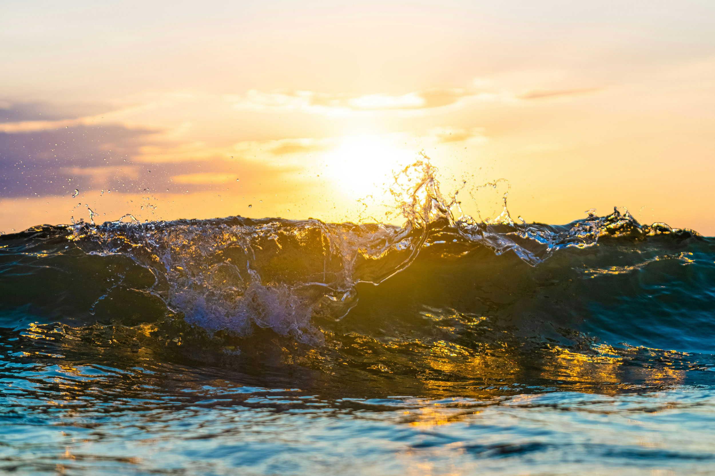 The Astrology of January 26, 2026