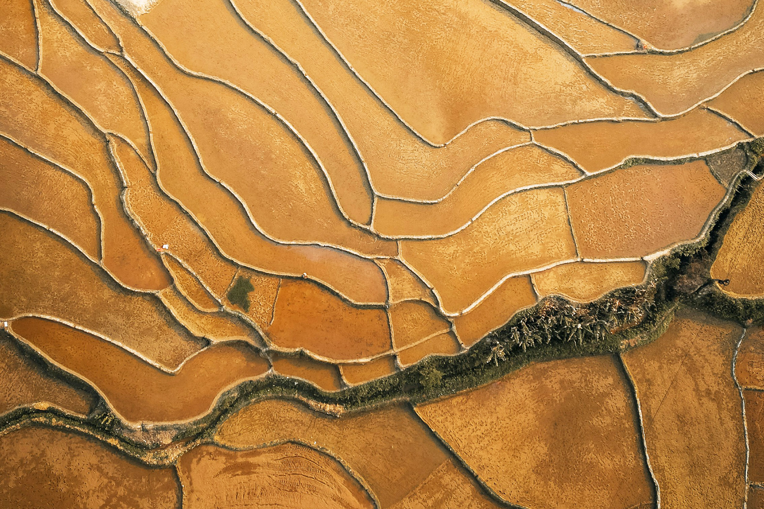 The Astrology of January 19, 2026