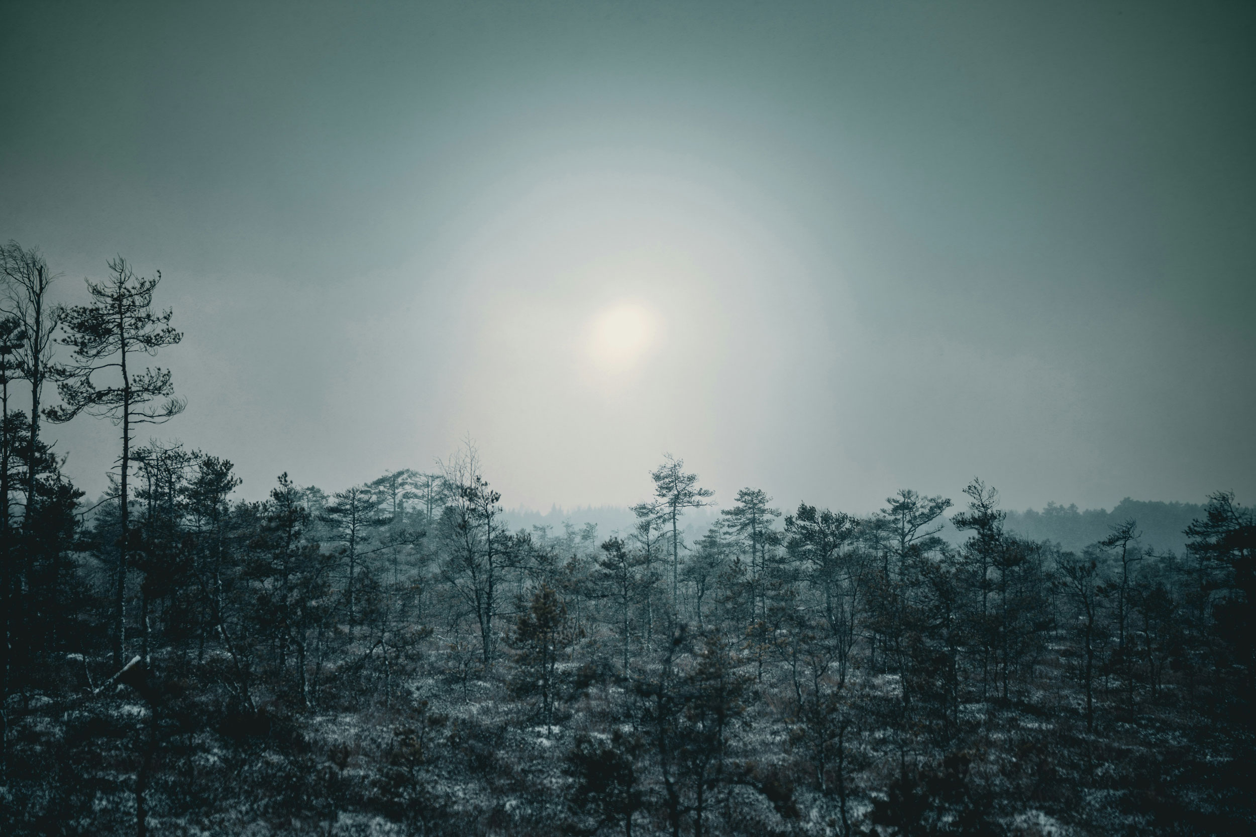 The Astrology of January 12, 2026