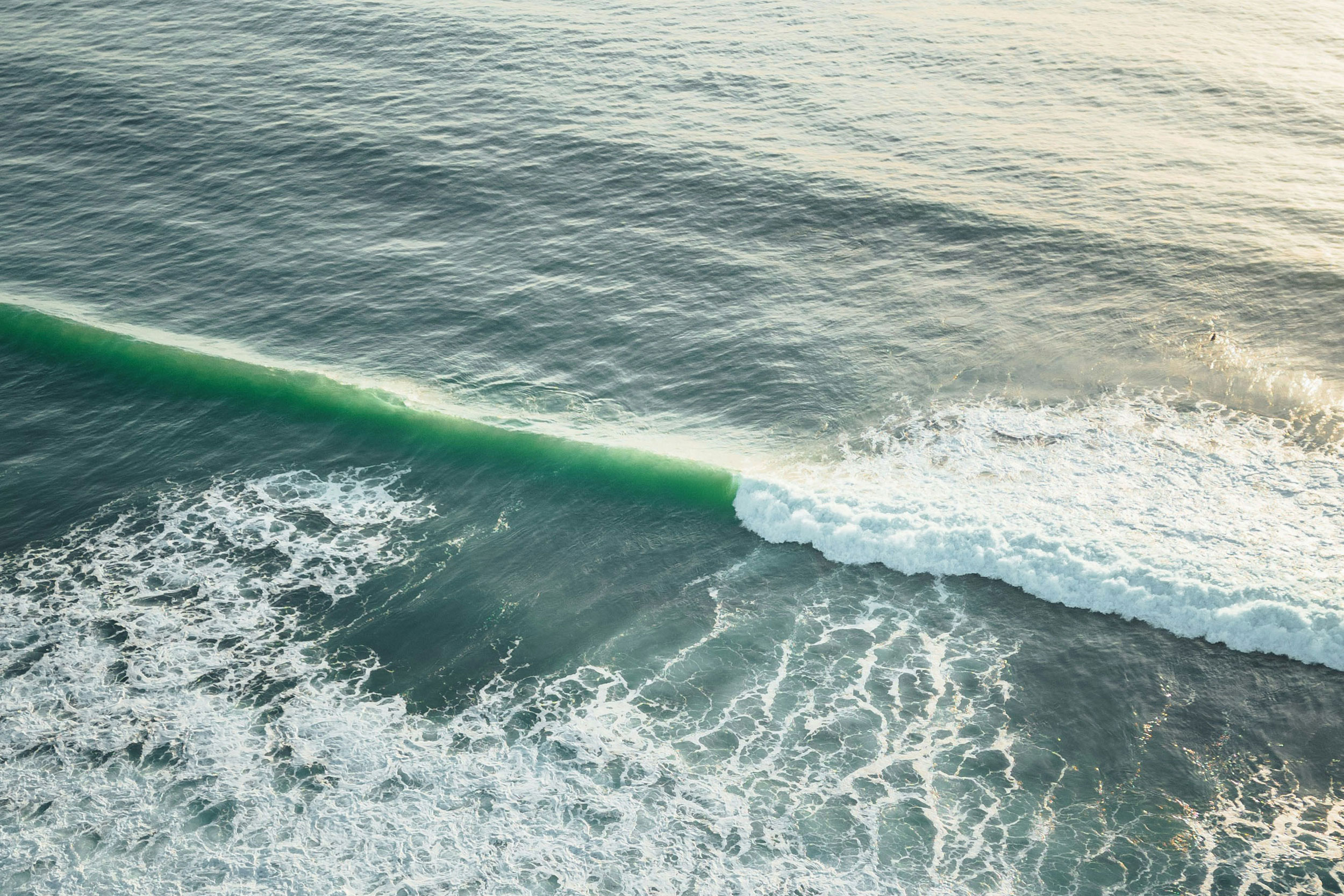 The Astrology of February 24, 2026