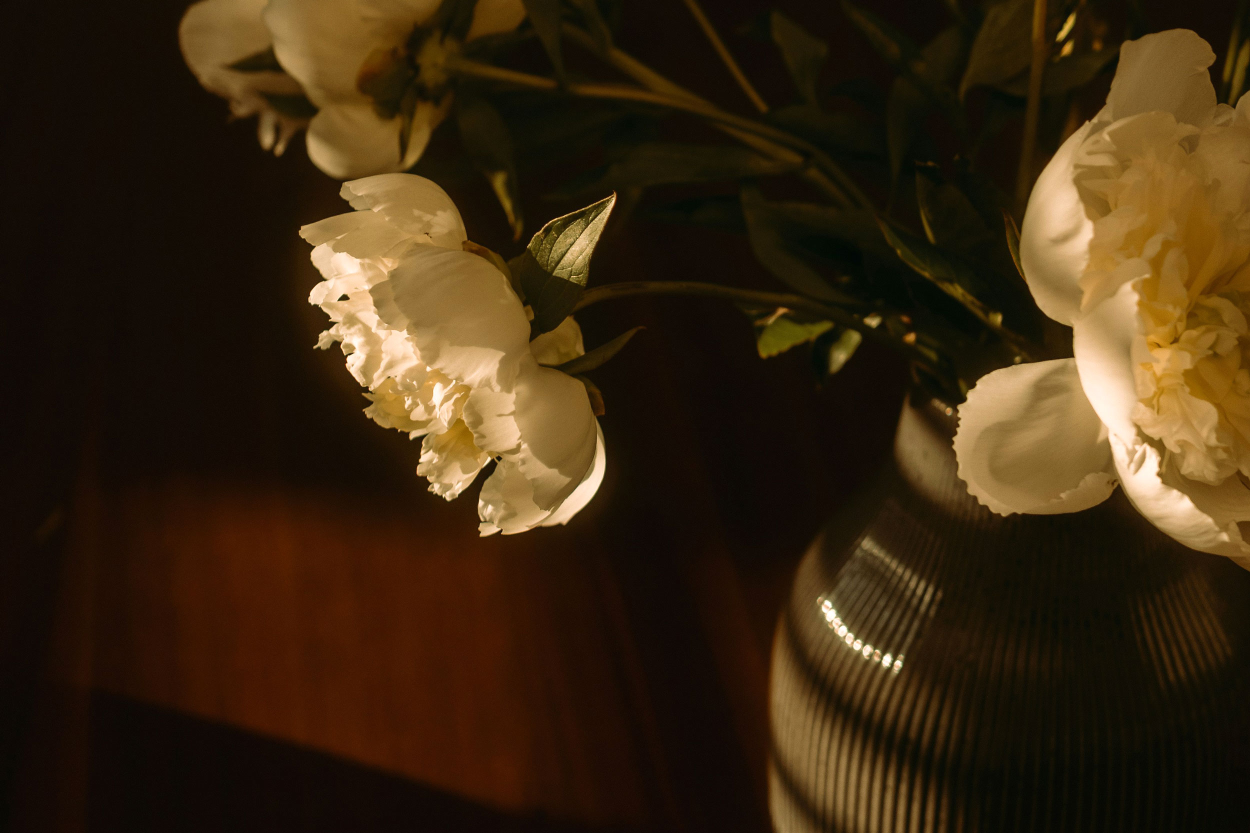 The Astrology of March 4, 2026