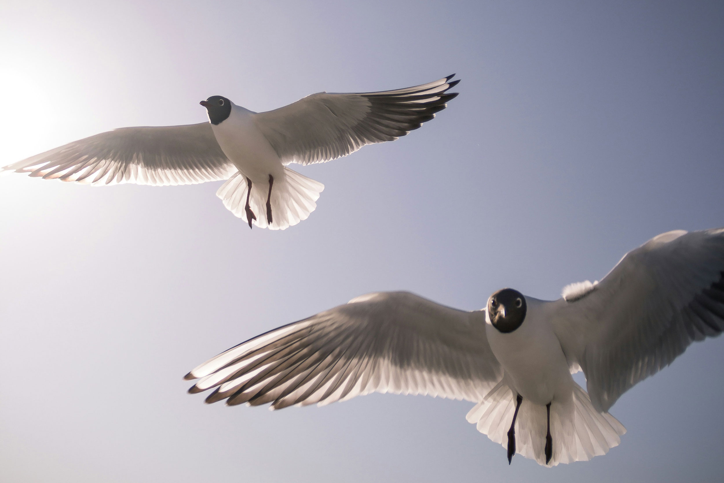 Photo by Joakim Honkasalo on Unsplash