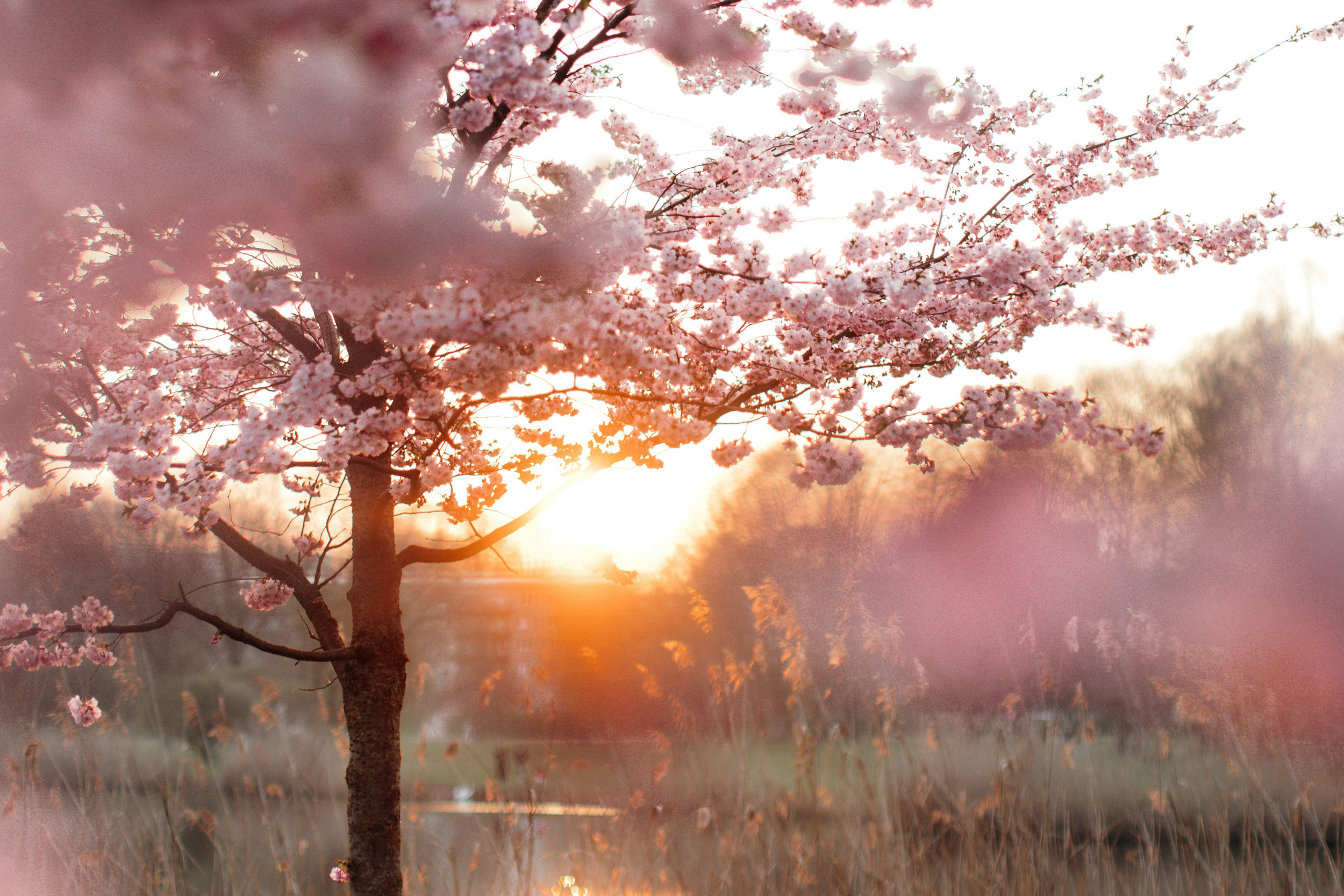 The Astrology of March 30, 2026