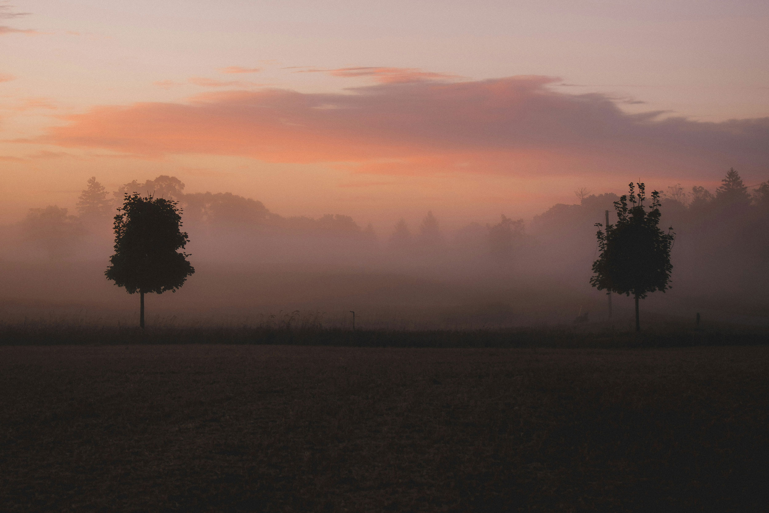 The Astrology of April 28, 2026