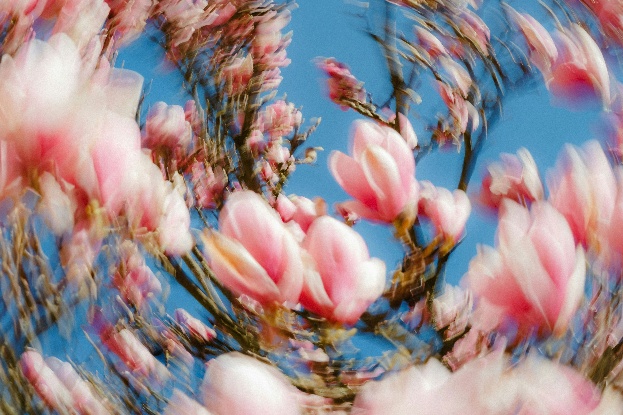 The Astrology of April 23, 2026