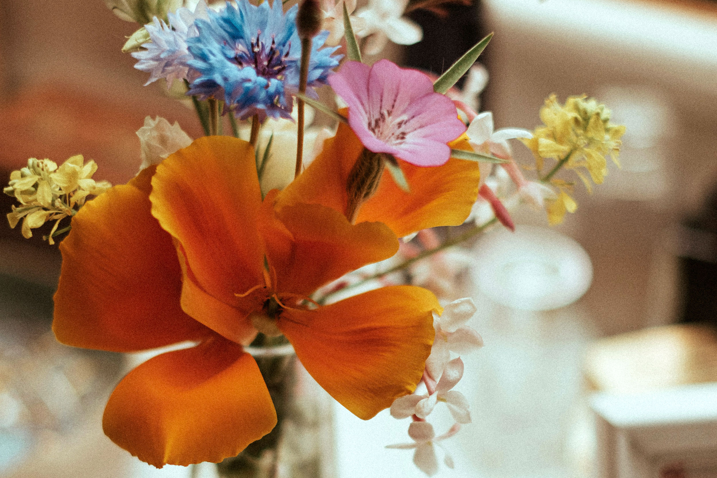 The Astrology of April 29, 2026