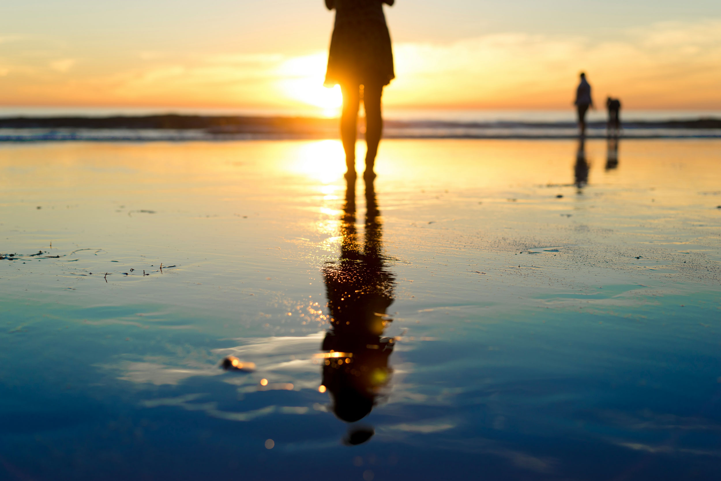 The Astrology of April 8, 2026