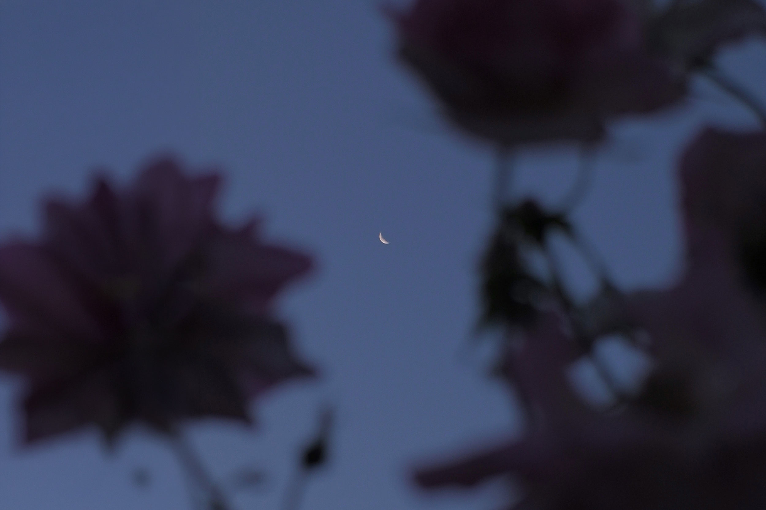 The Astrology of May 14, 2026