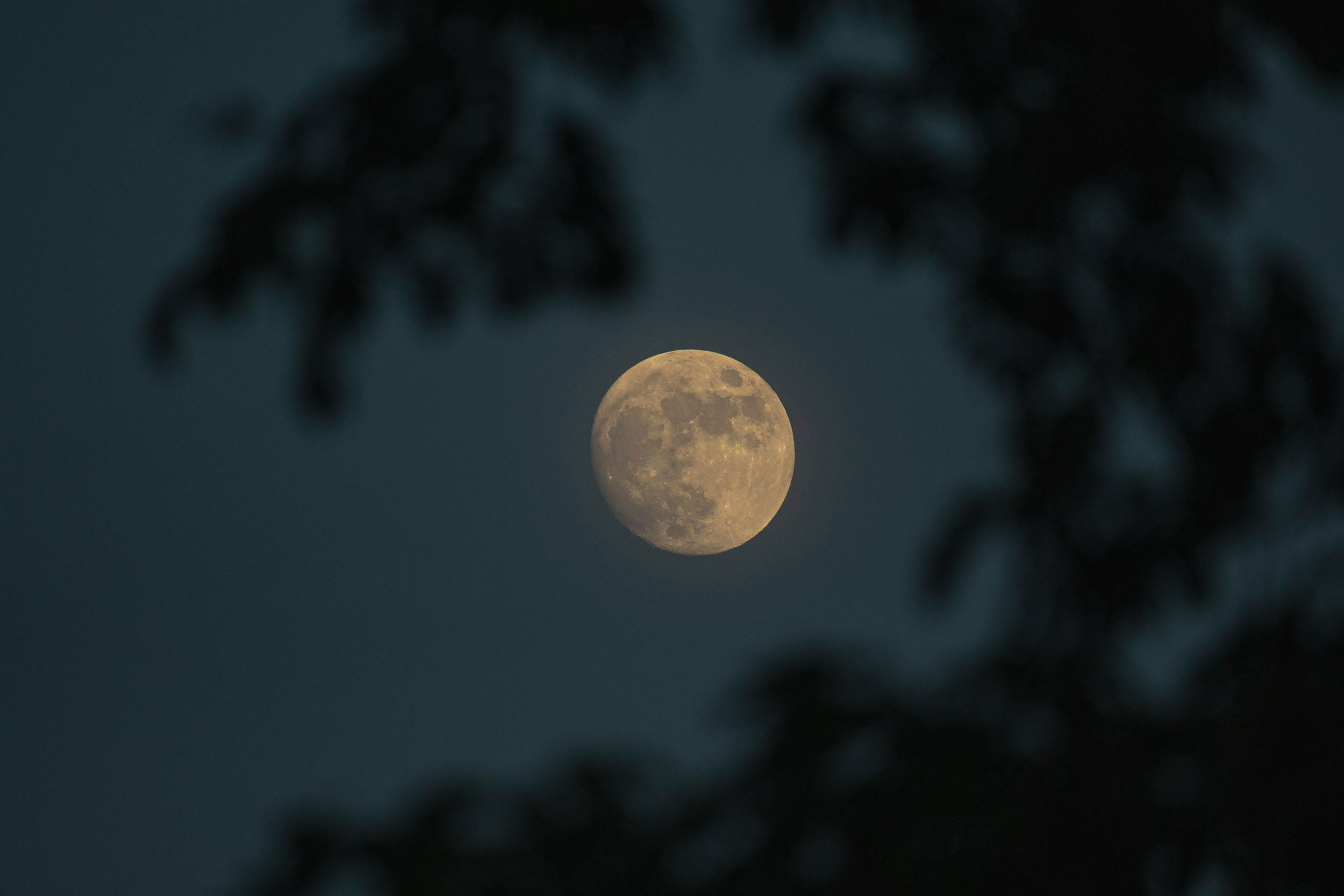 The Astrology of May 27, 2026