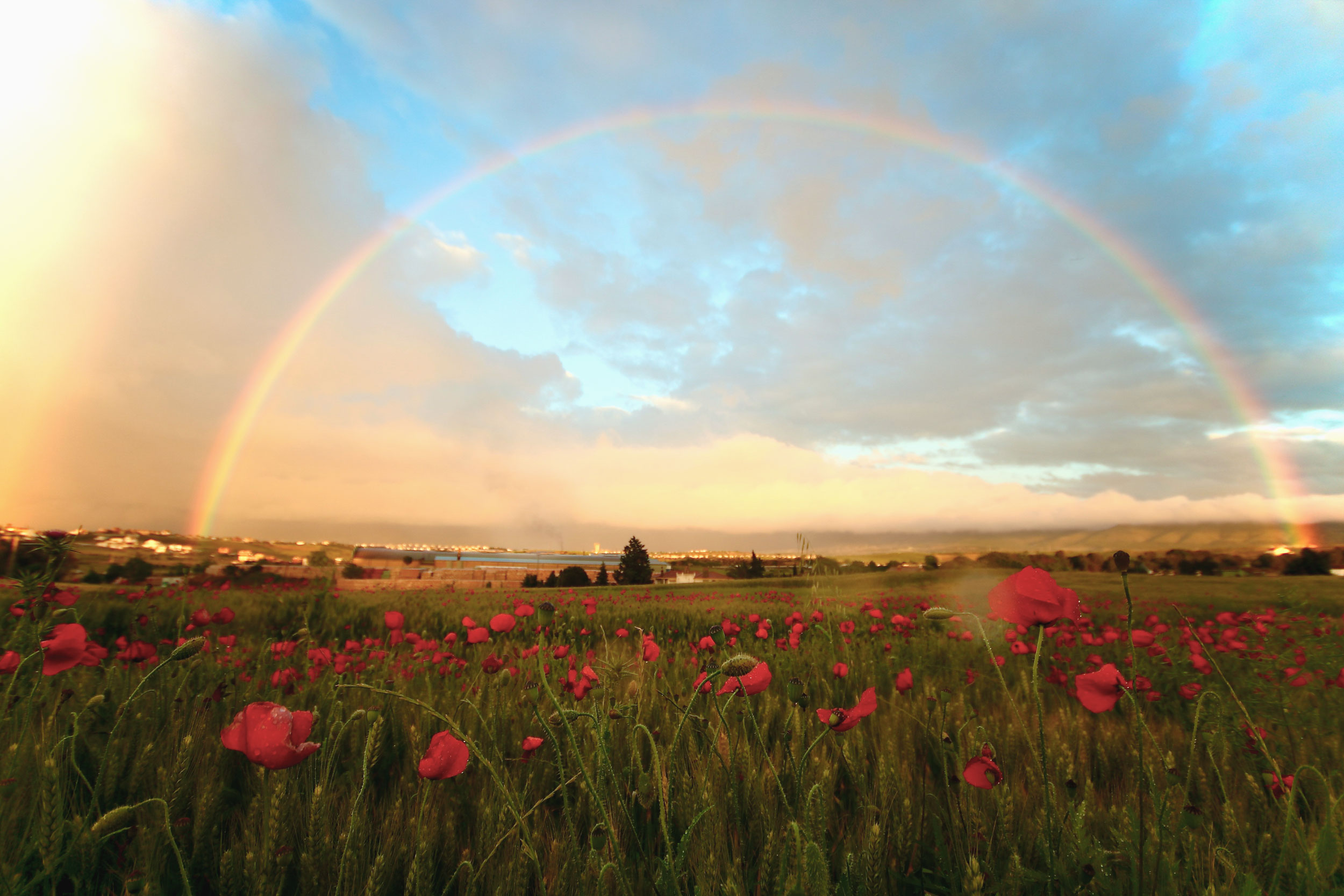 The Astrology of June 9, 2026