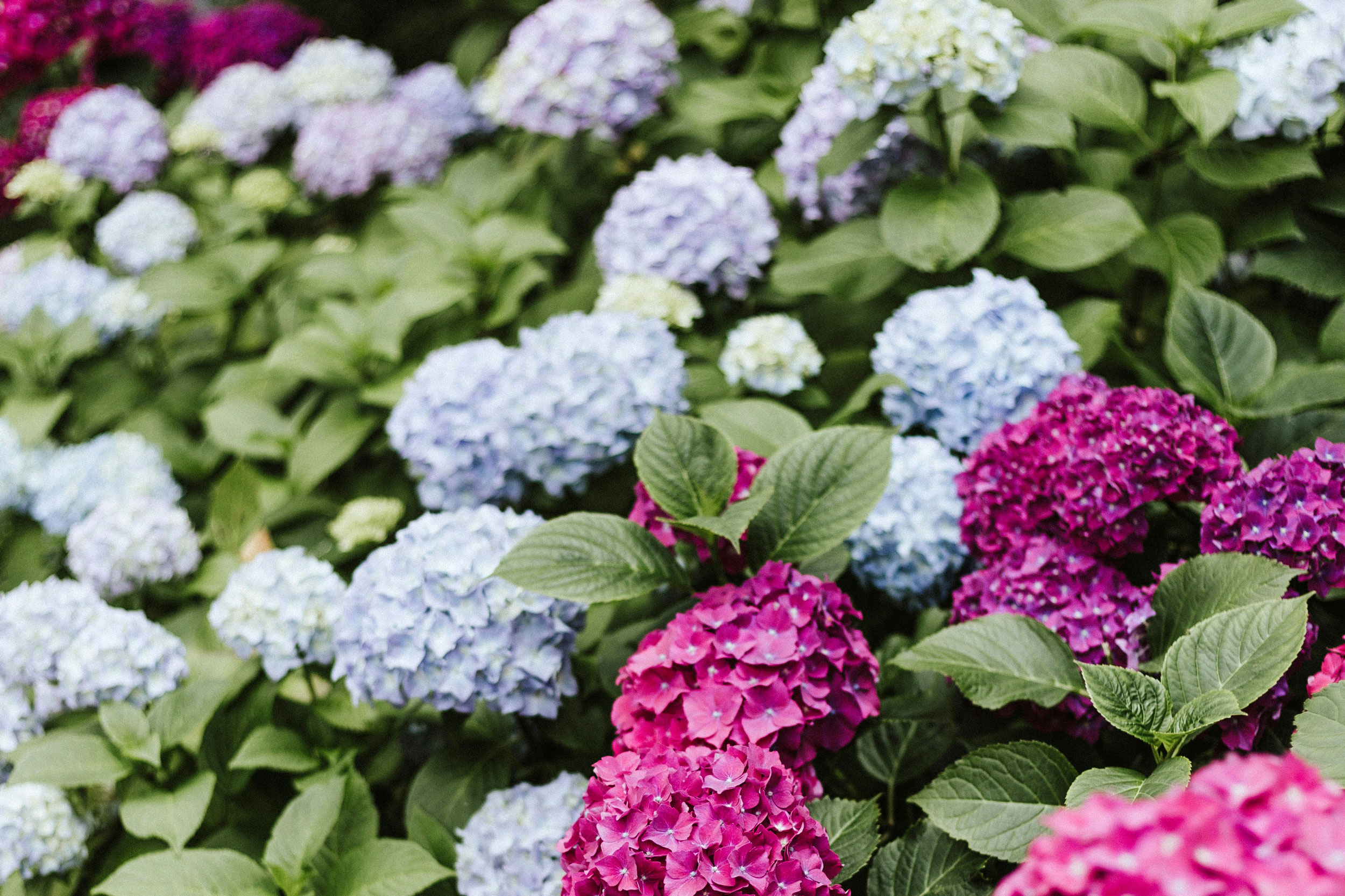 The Astrology of June 23, 2026