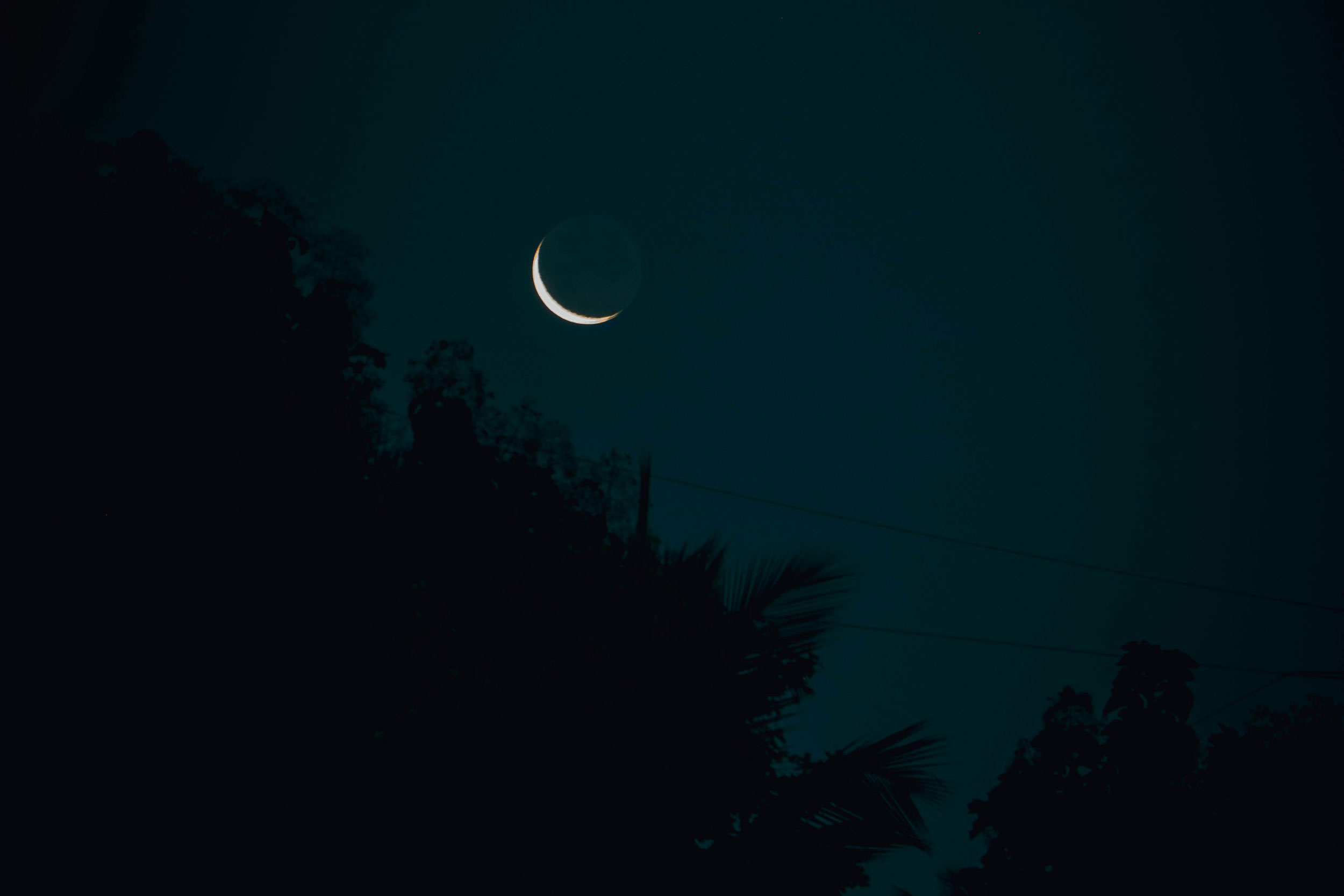 The Astrology of June 11, 2026