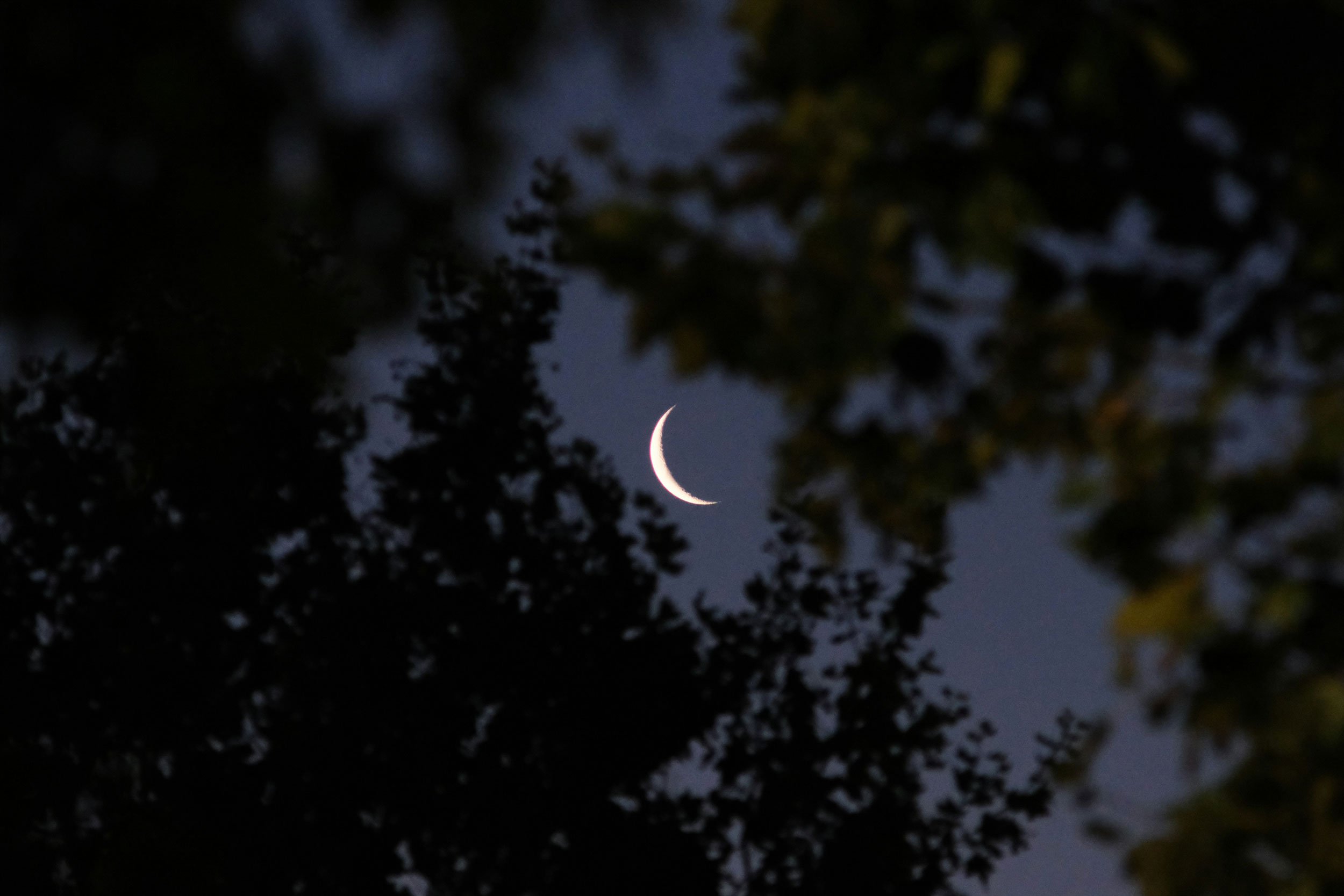 The Astrology of July 10, 2026