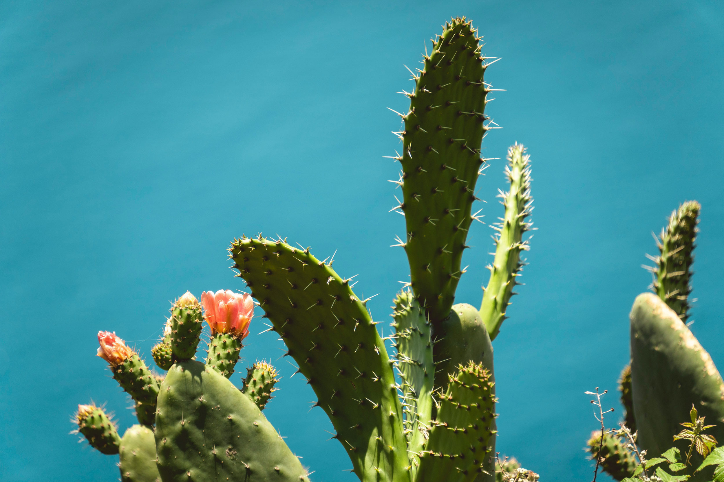 The Astrology of July 1, 2026