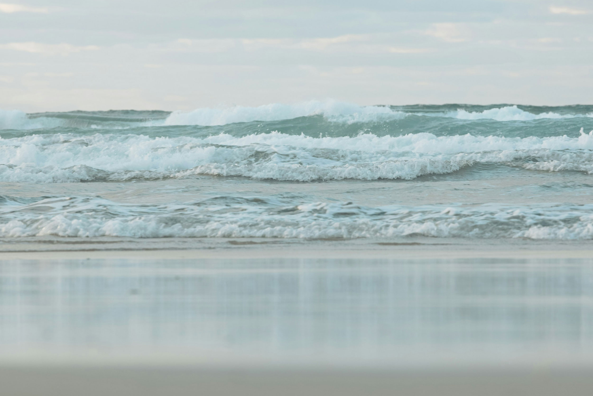 Photo by Luke Thornton