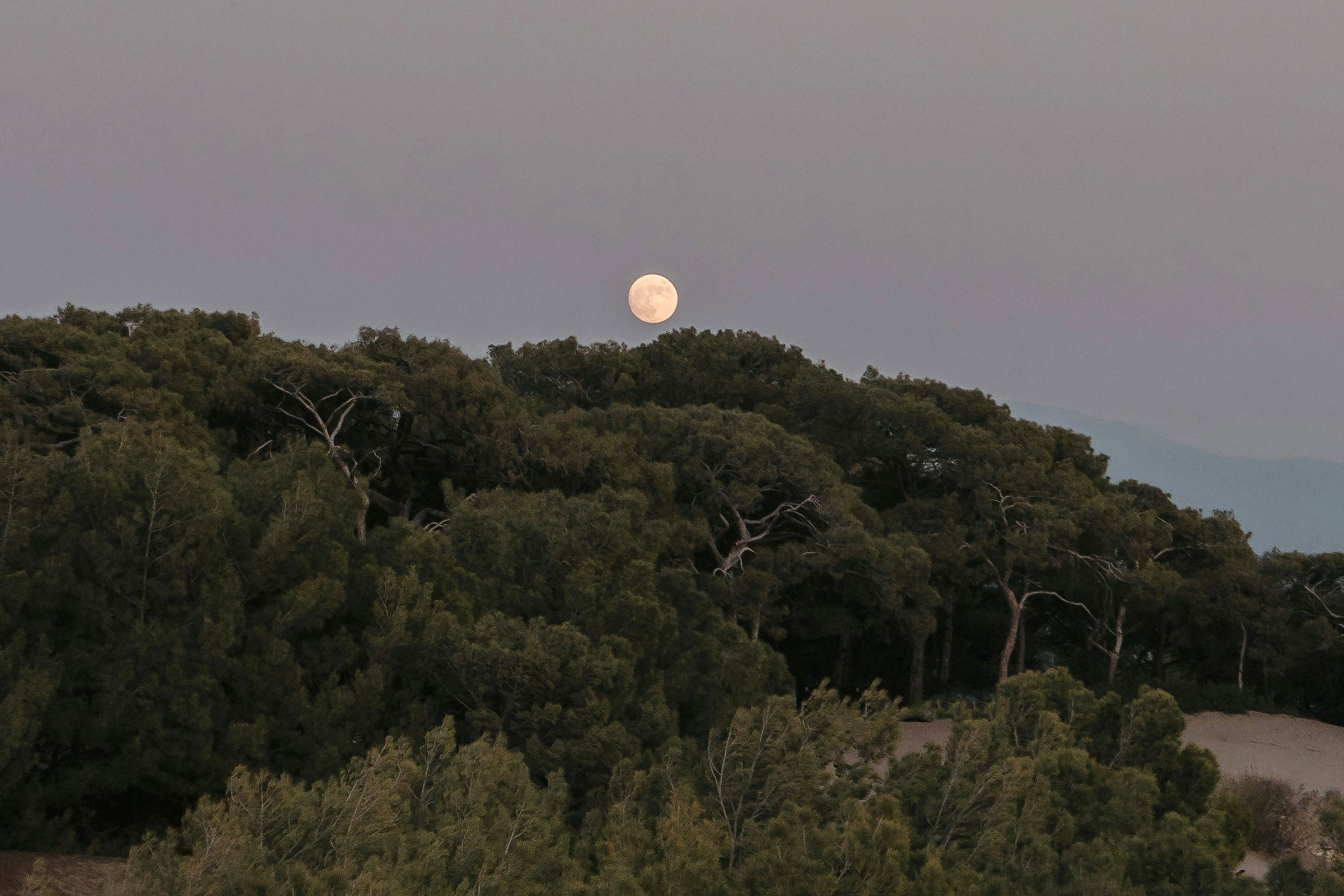 The Astrology of July 28, 2026