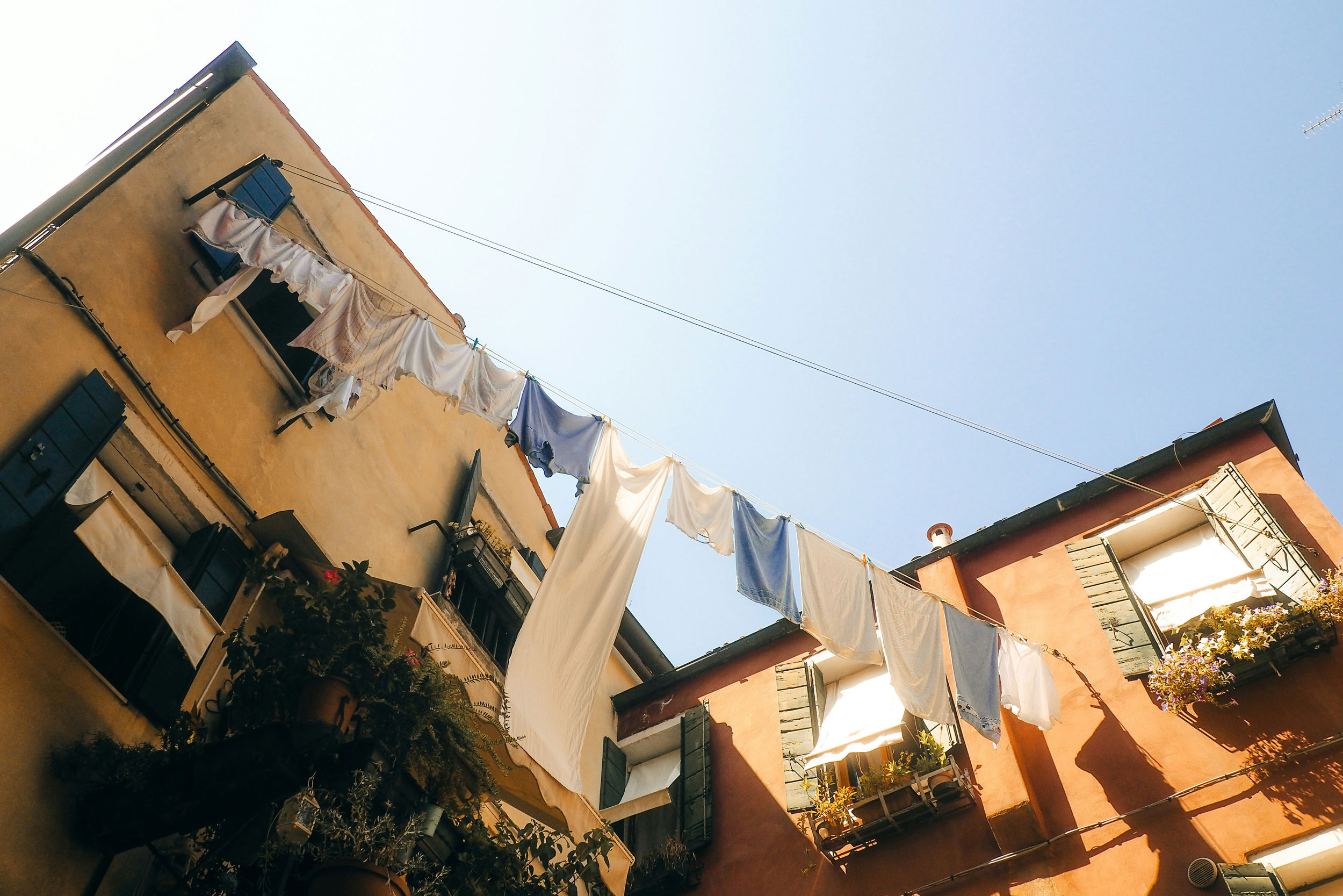 Photo by Lens by Benji on Unsplash