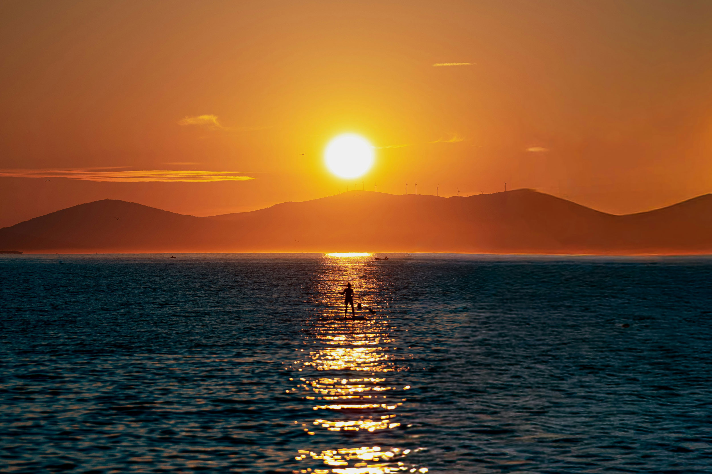 Photo by Rafael Hoyos Weht on Unsplash