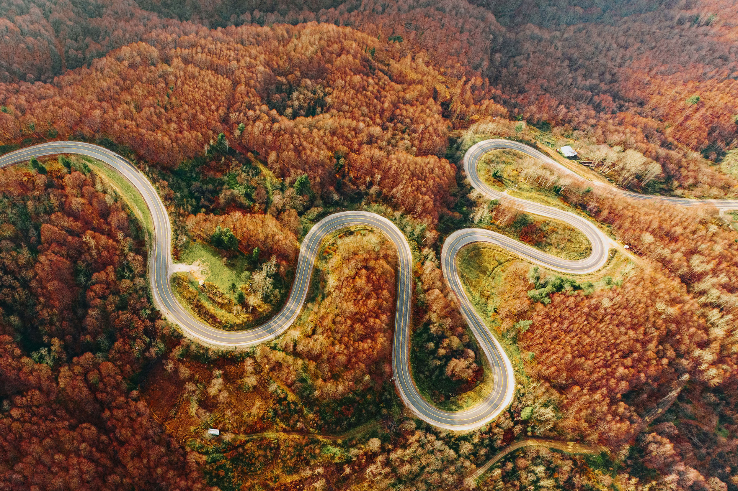 The Astrology of October 1, 2026