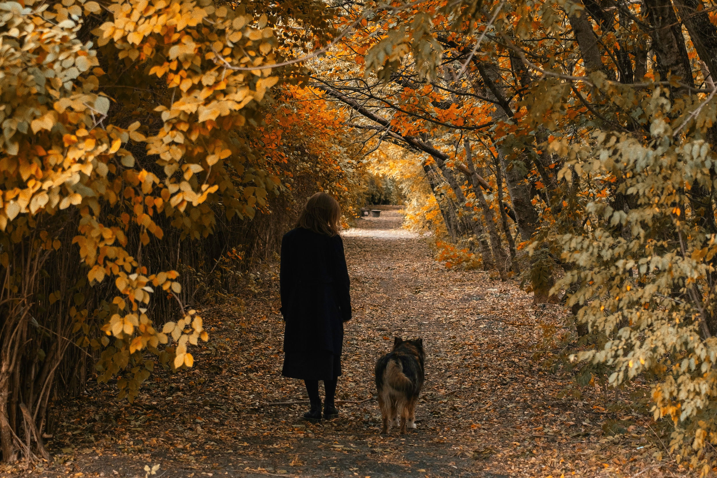 The Astrology of October 22, 2026