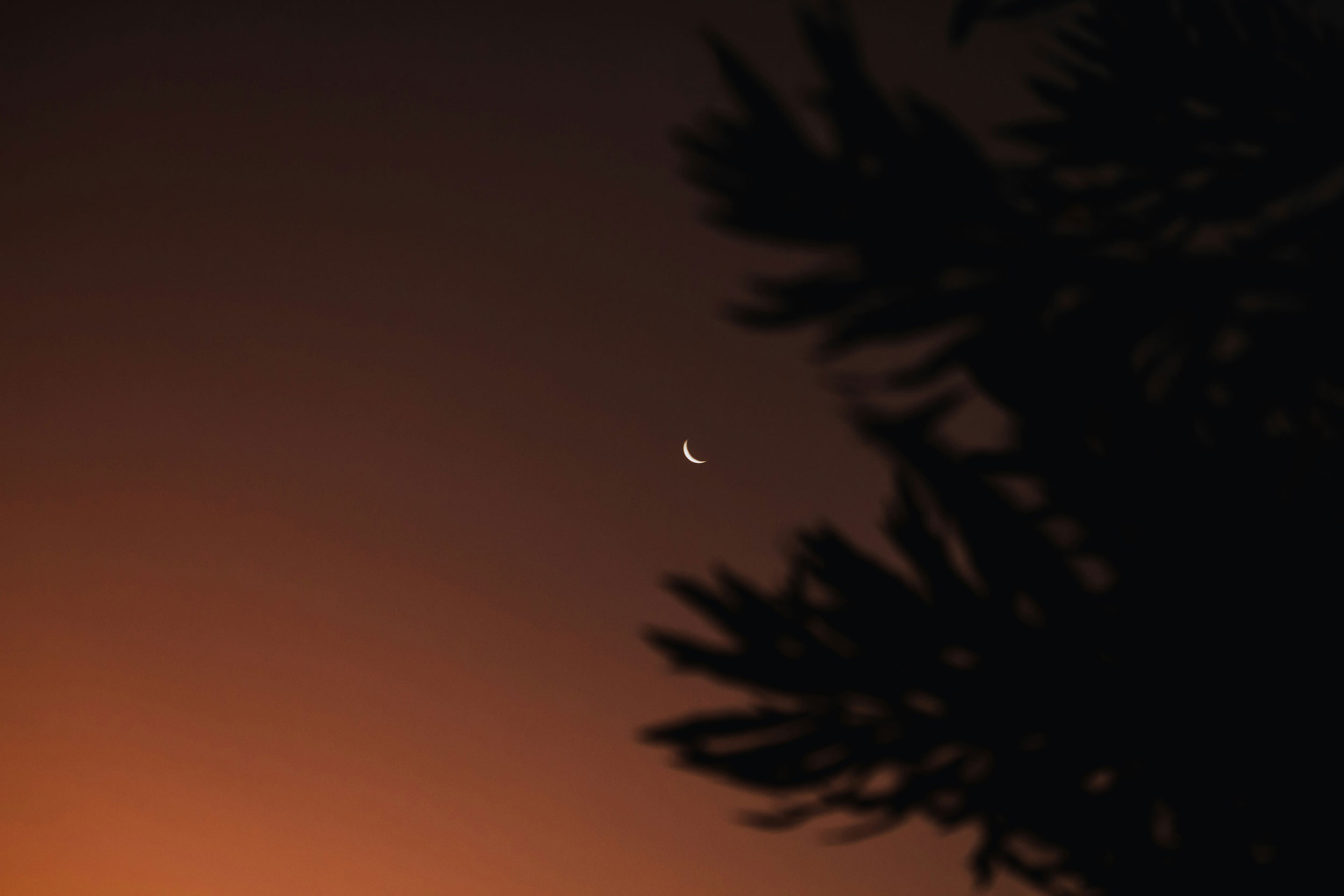 The Astrology of October 7, 2026